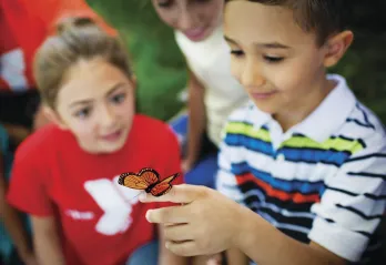Denver YMCA Summer Camp 2026
