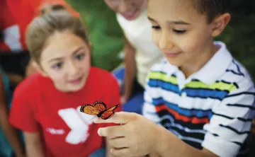 Denver YMCA Summer Camp 2026